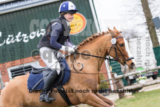 Jungpferdetag Hamminkeln