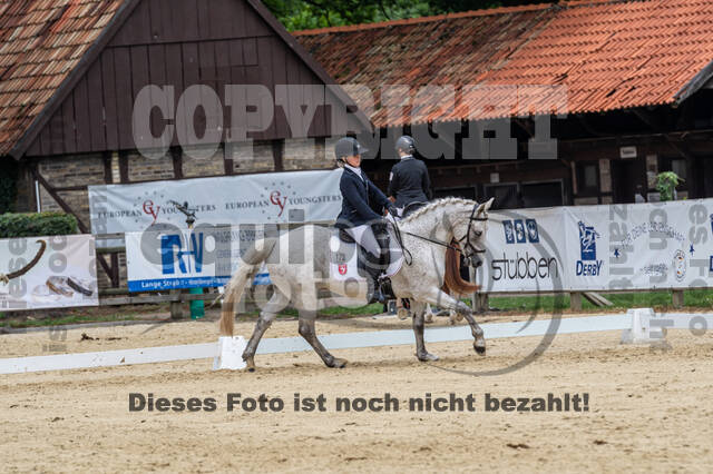 Goldene Schärpe 2021 - Ponys