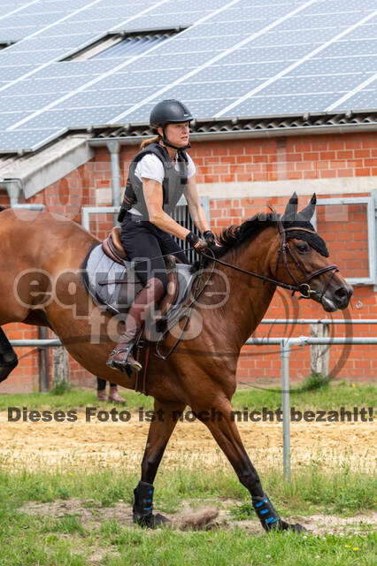 Hunter Geländetraining 10.07.2021 (Sonsbeck)