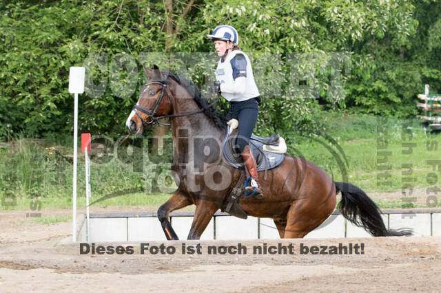 Vielseitigkeitsturnier ZRFV von Lützow Hamminkeln