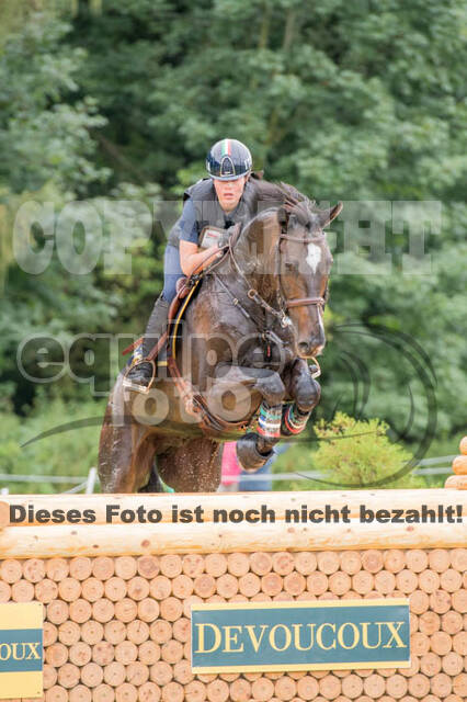 FEI European Championship