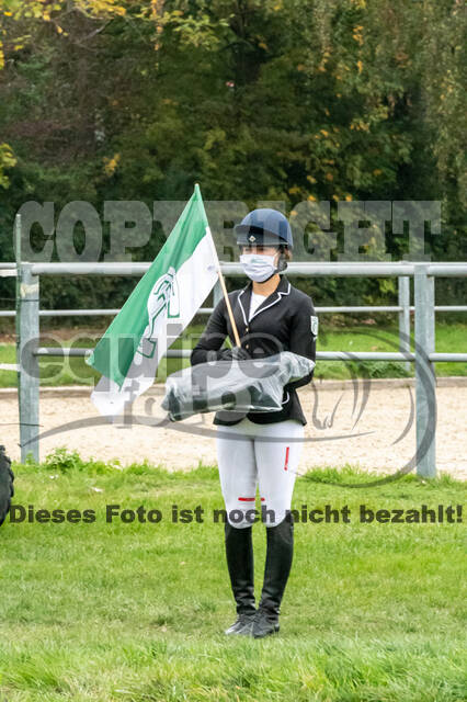 Goldene Schärpe 2020 - Pferde