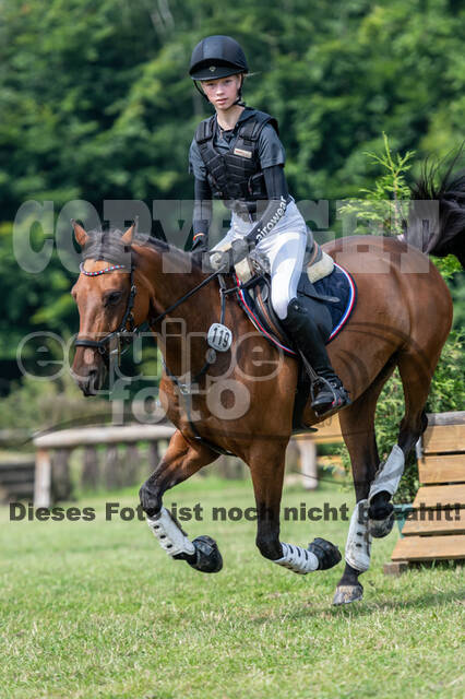 Goldene Schärpe 2021 - Ponys