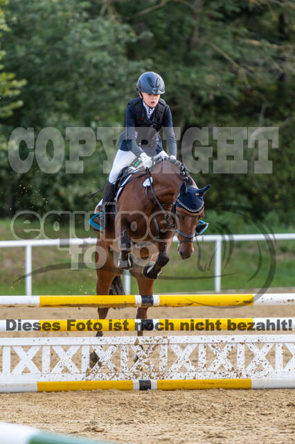 RFV Dinslaken-Hiesfeld (Herbstturnier)