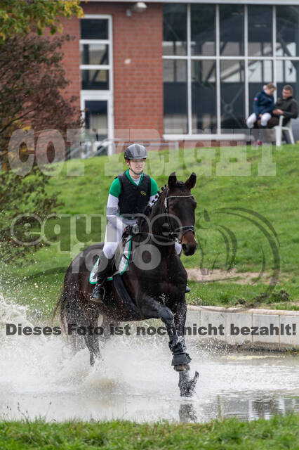 Goldene Schärpe 2020 - Pferde