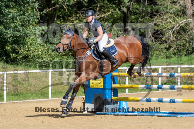 RFV Dinslaken-Hiesfeld (Herbstturnier)
