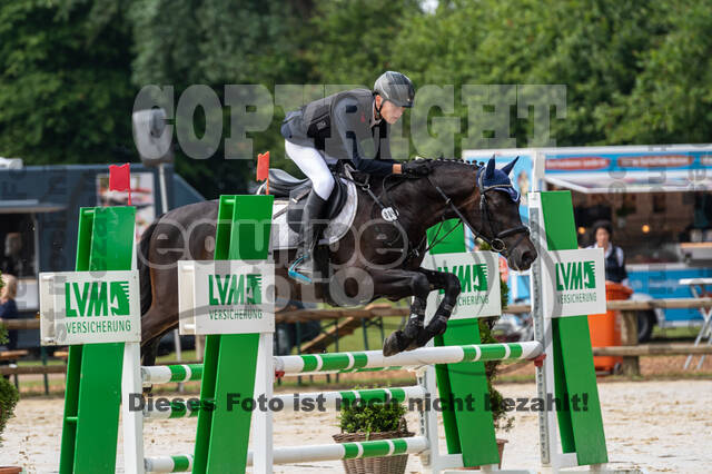 Goldene Schärpe 2021 - Ponys