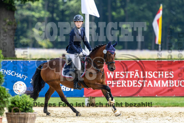 Goldene Schärpe 2021 - Ponys