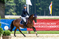 Goldene Schärpe 2021 - Ponys