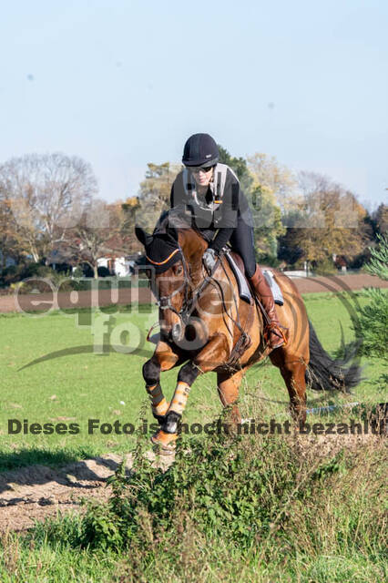 Vielseitigkeitslehrgang mit Jürg Kurbel (9.+10.11.2019)
