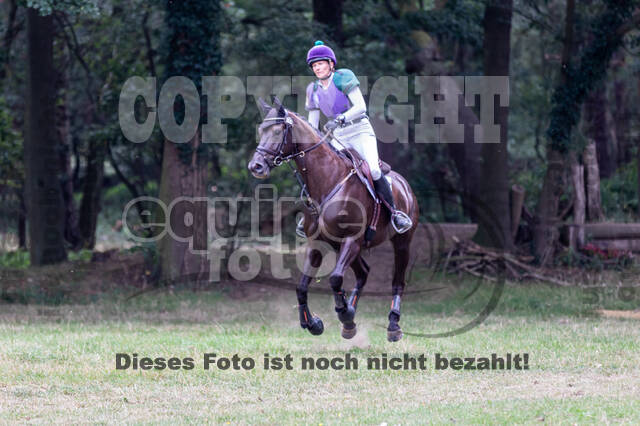 Late-Entry Vielseitigkeit Hamminkeln/Wesel (01.+02.08.2020)