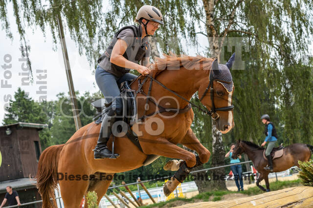 Hunter Geländetraining 10.07.2021 (Sonsbeck)
