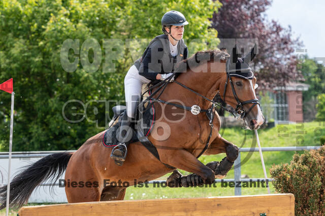 Late-Entry-Vielseitigkeit Langenfeld (06.+07.07.2020)