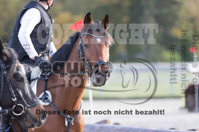 IGV Lehrgang der Sieger der Cups mit Frank Ostholt