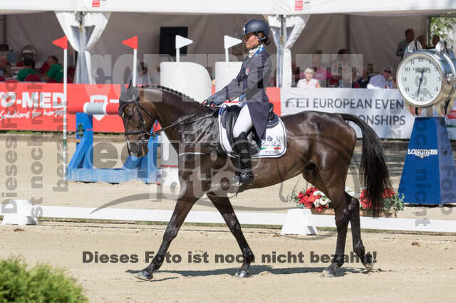 FEI European Championship