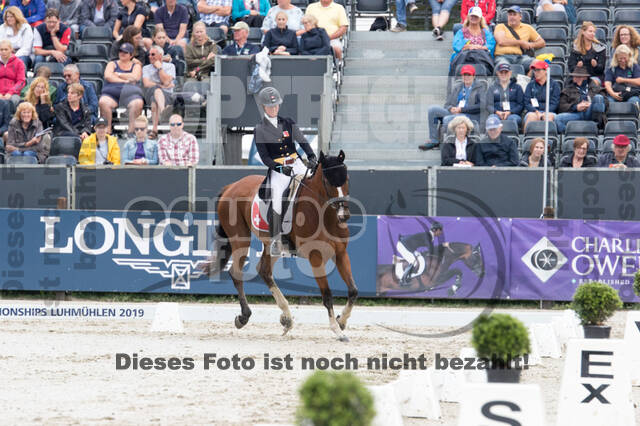 FEI European Championship Eventing 2019