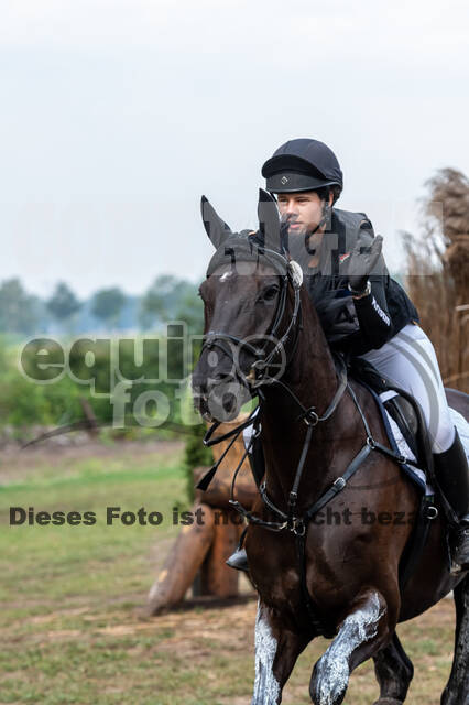 De Peelbergen (August 2020)