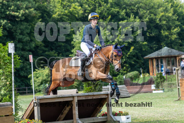 Goldene Schärpe 2021 - Ponys
