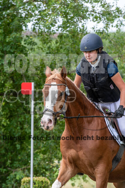 Bonn-Rodderberg Late-Entry-Vielseitigkeit (30.06.2020)