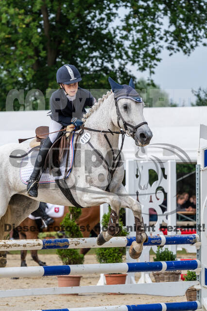 Goldene Schärpe 2021 - Ponys