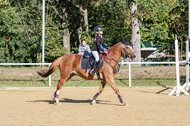 RFV Dinslaken-Hiesfeld (Herbstturnier)