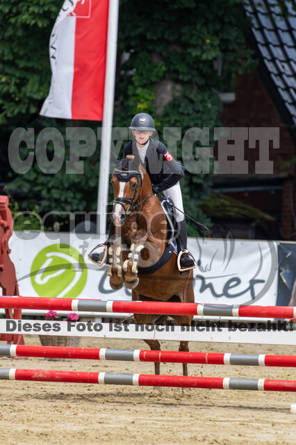 Goldene Schärpe 2021 - Ponys