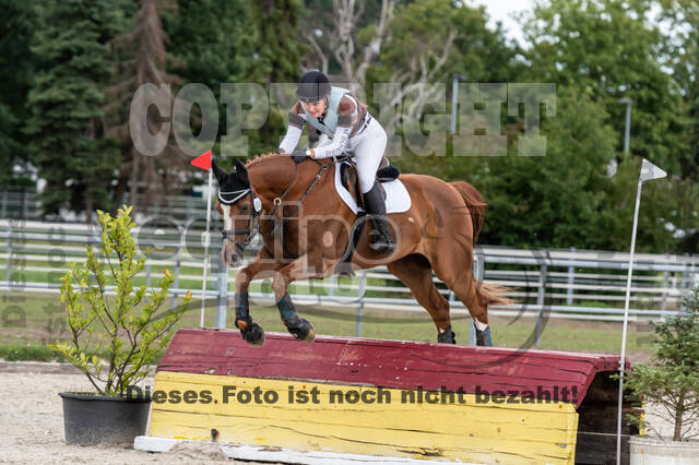 Late-Entry-Vielseitigkeit Langenfeld (06.+07.07.2020)