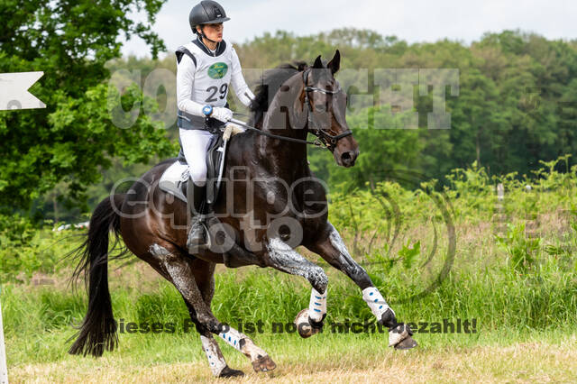 Westerstede Horse Trials 2021