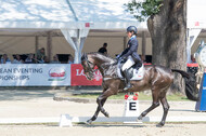 FEI European Championship