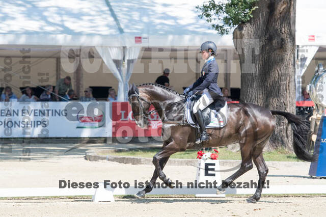 FEI European Championship