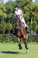 Kronenberg - De Peelbergen (August 2020)