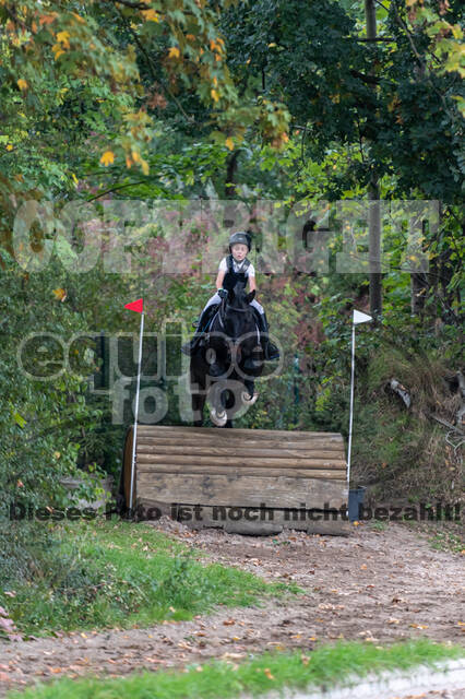 Goldene Schärpe 2020 - Pferde