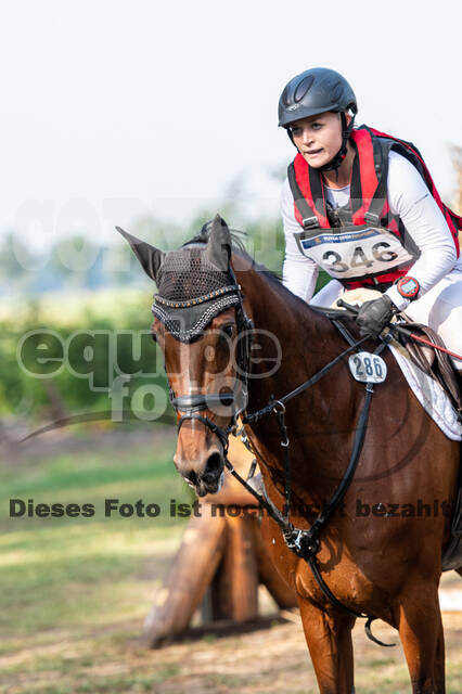 De Peelbergen (August 2020)