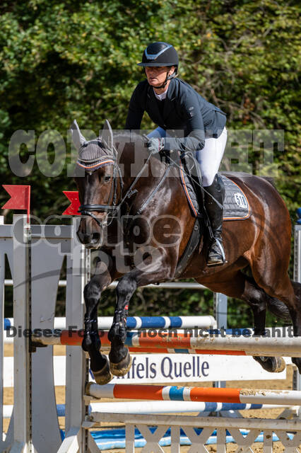 RFV Dinslaken-Hiesfeld (Herbstturnier)