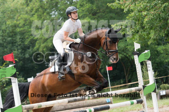 RFV Bad Honnef