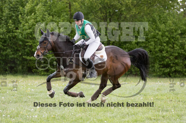 Sterne über Münster 2019 - CCI***S