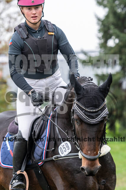 Goldene Schärpe 2020 - Pferde