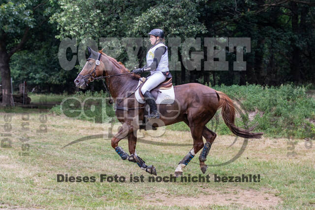 Late-Entry Vielseitigkeit Hamminkeln/Wesel (01.+02.08.2020)