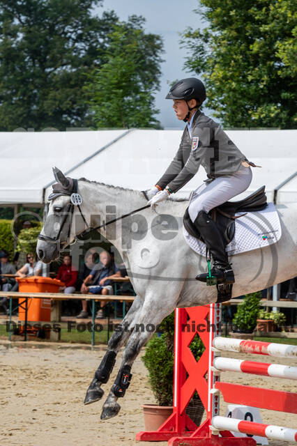Goldene Schärpe 2021 - Ponys