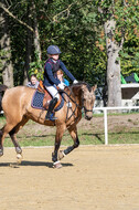 RFV Dinslaken-Hiesfeld (Herbstturnier)
