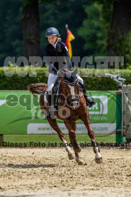 Goldene Schärpe 2021 - Ponys