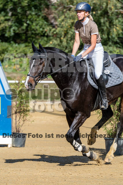 RFV Dinslaken-Hiesfeld (Herbstturnier)