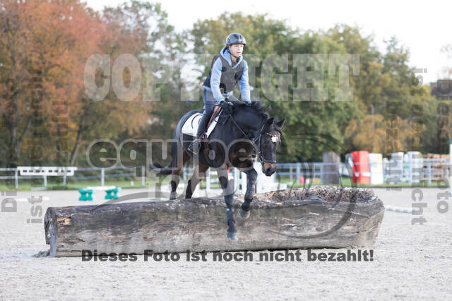 IGV Lehrgang der Sieger der Cups mit Frank Ostholt