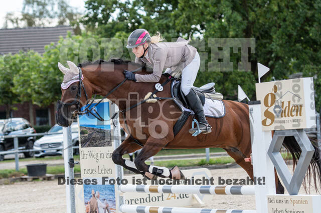 Landesturnier Rheinland, Vielseitigkeit, 22.+23.08.2020