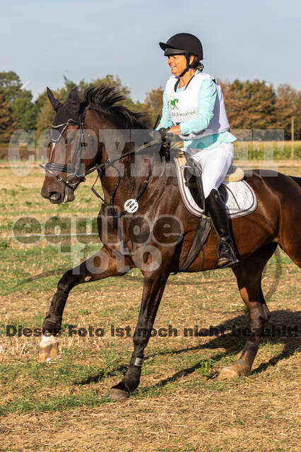 IGV Kleve - Vielseitigkeitsturnier