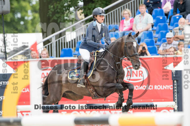 FEI European Championship