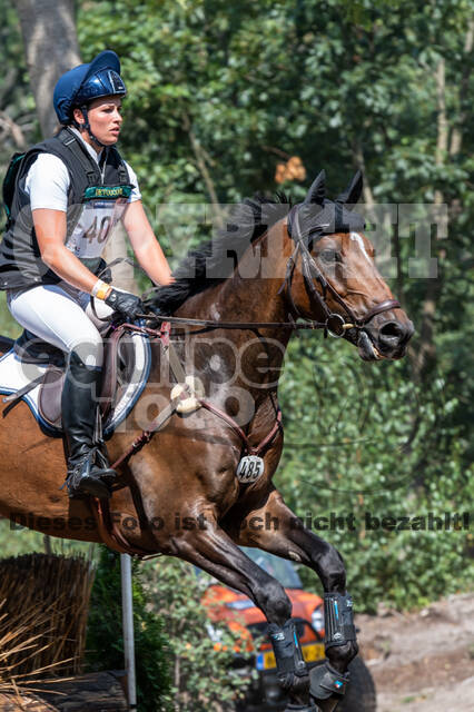 De Peelbergen (August 2020)