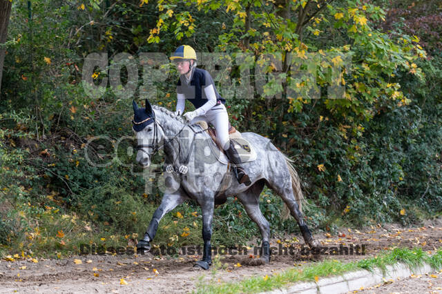 Goldene Schärpe 2020 - Pferde