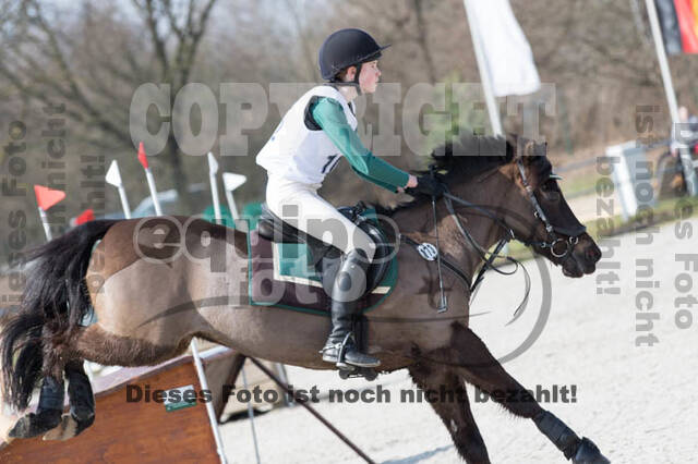 Eventing Langenfeld 2018