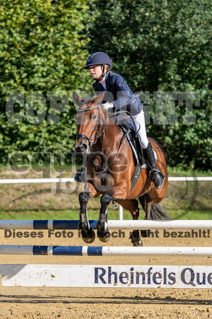 RFV Dinslaken-Hiesfeld (Herbstturnier)
